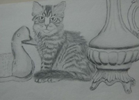 Chaton
